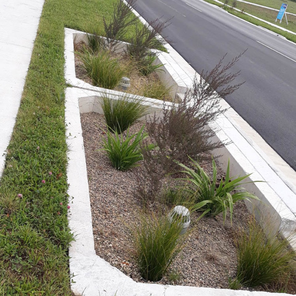 Banks Road, Matamata