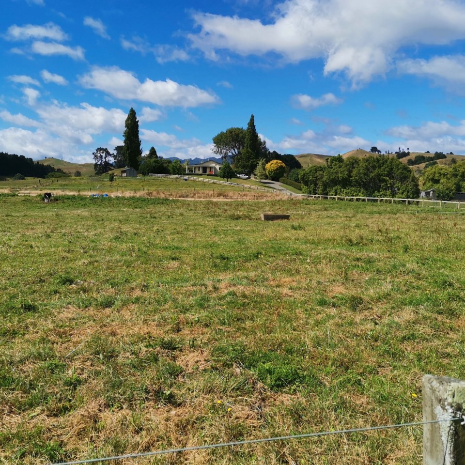 Te Pahu, Waikato