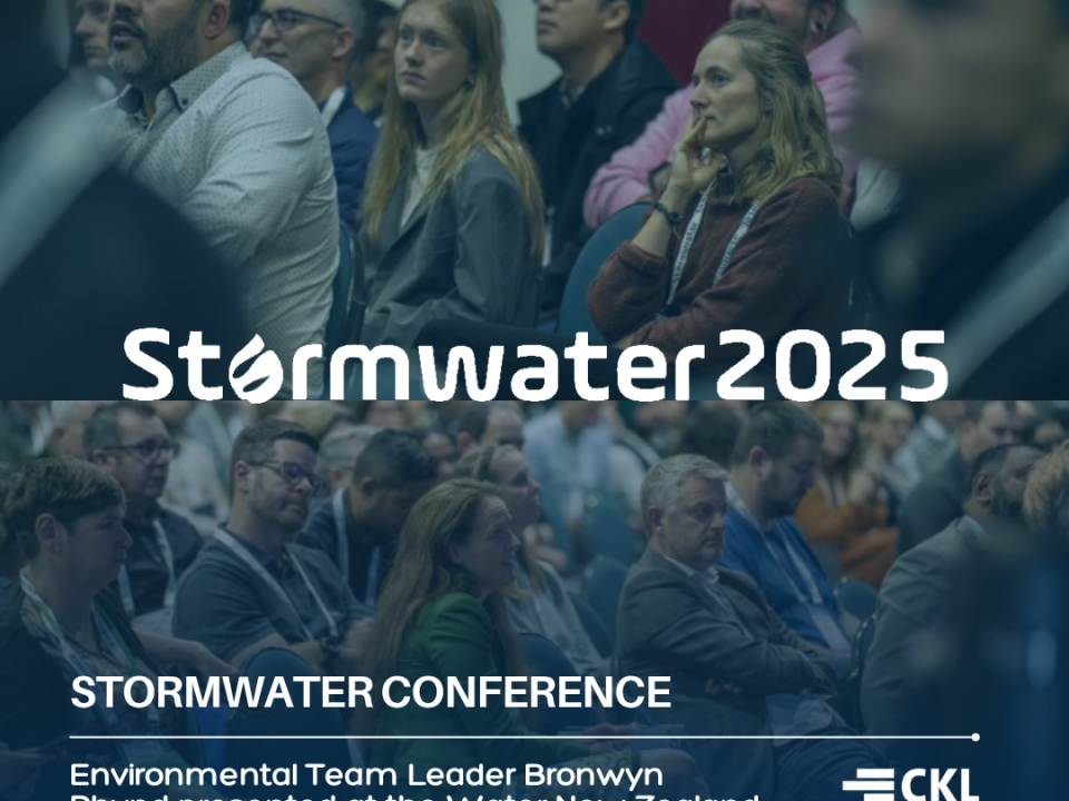 Achieving Water Quality Goals through Nature-Based Design